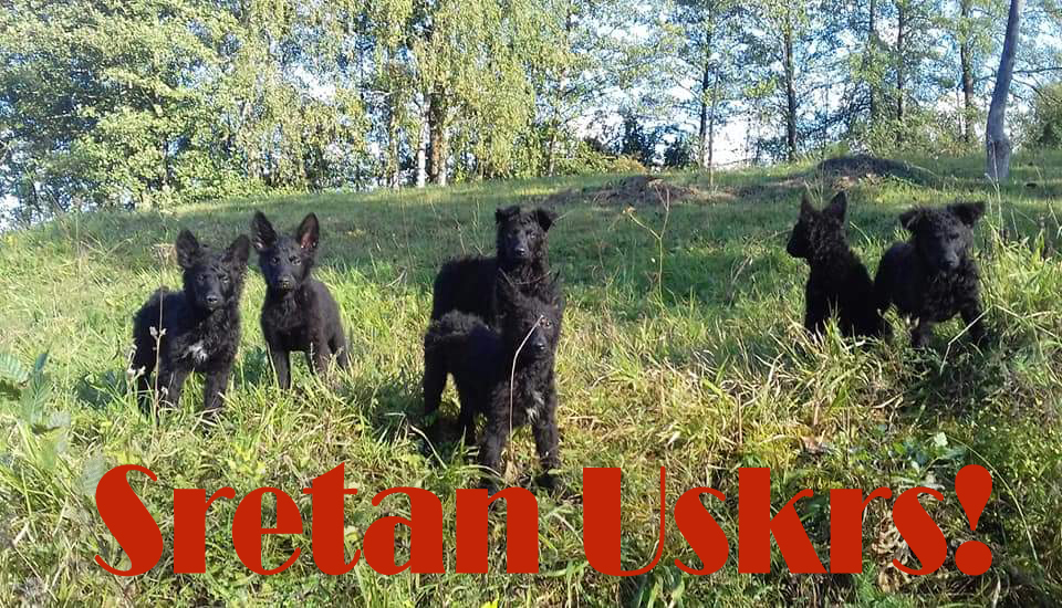 Zaklada Sretan Uskrs2